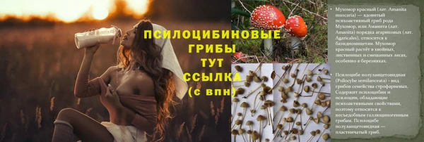 МДМА Сосновоборск