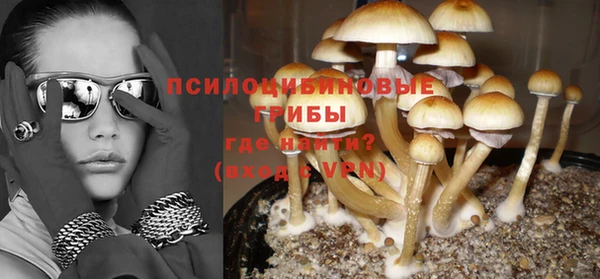 метадон Алексеевка