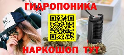spice Гусь-Хрустальный