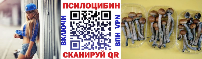 где купить наркоту  Елабуга  Галлюциногенные грибы MAGIC MUSHROOMS 