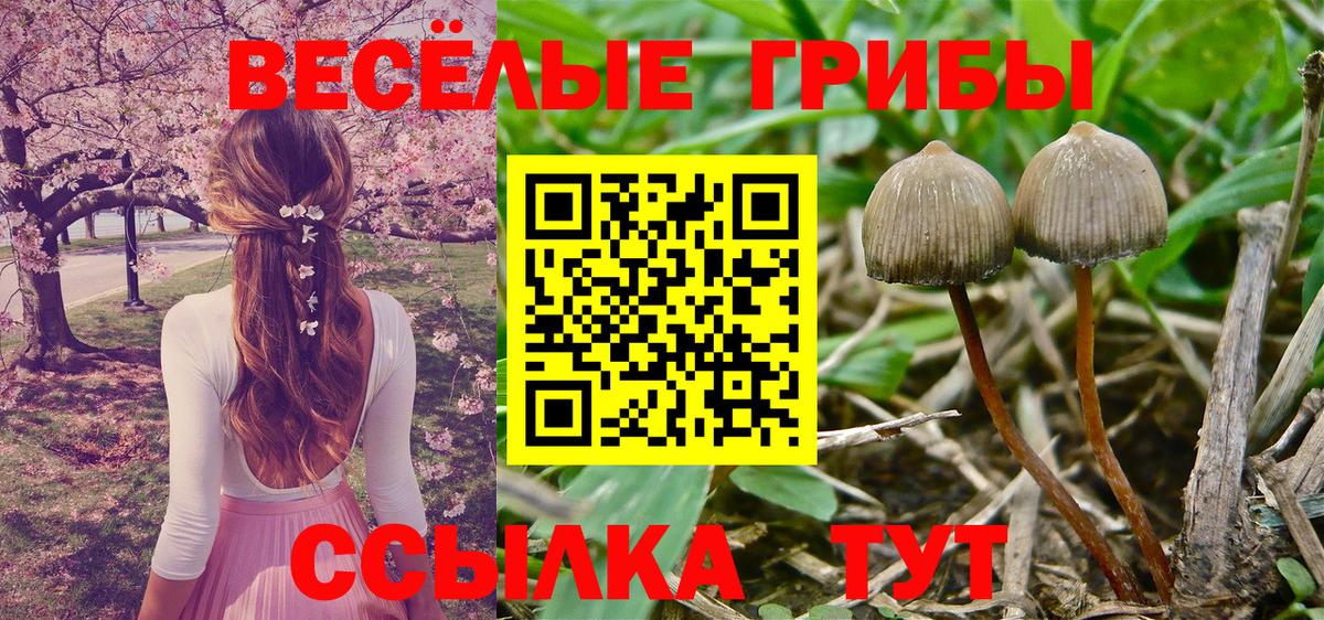 Псилоцибиновые грибы MAGIC MUSHROOMS  Вход с VPN  Галлюциногенные грибы прущие грибы  Елабуга 